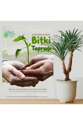 ذغال سنگ نارس و خاک Plant Home Power Mix - کد 882731451