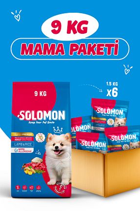  Yetişkin (1 - 7 سال) Solomon - کد 877062129