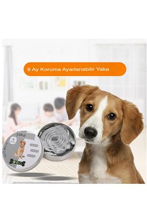 Günlük Ayakkabı طوسی hayhall - کد 824891540