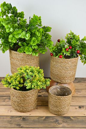 ژاردینیر بژ SepetçiBaba - کد 884477100