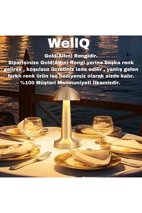 چراغ مطالعه / رومیزی طلائی فلزی WellQ - کد 877362112