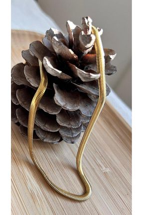 گردنبند استیل ( فولاد ) طلائی زنانه استیل (فولاد) juleeco - کد 886550501