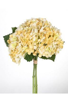 گل خشک و مصنوعی زرد Omelas - کد 886688849