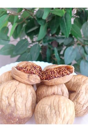  Fruvella Organik Ürünler - کد 886033715