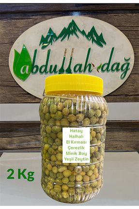 زیتون سبز ABDULLAH DAĞ - کد 886614251