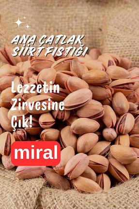 پسته miral - کد 857643581