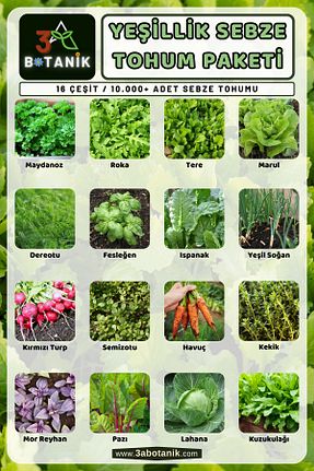 بذرها Sebze Tohumları 3A BOTANİK - کد 234489369