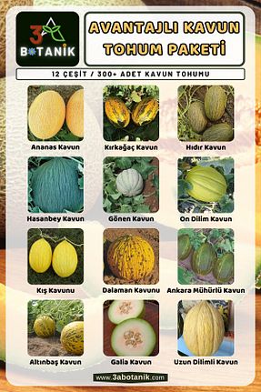 بذرها Meyve Tohumu 3A BOTANİK - کد 234526783