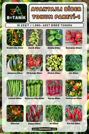بذرها Sebze Tohumları 3A BOTANİK - کد 234690438