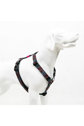 Günlük Ayakkabı طوسی Tailpetz - کد 864537425