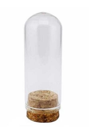 سنگ و قالب معطر sm natural - کد 888301374