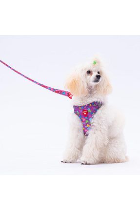 Günlük Ayakkabı بنفش Pawstar - کد 888135885