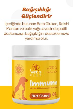  Vet