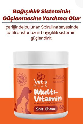  Vet