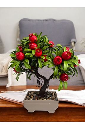 گل خشک و مصنوعی قرمز Lineva - کد 850450803