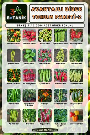 بذرها Sebze Tohumları 3A BOTANİK - کد 234737557