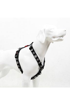 Günlük Ayakkabı زرشکی Tailpetz - کد 864537437