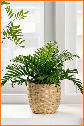 گل خشک و مصنوعی سبز Alony Home - کد 867523449