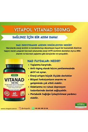شکلات Vitapol - کد 888164307
