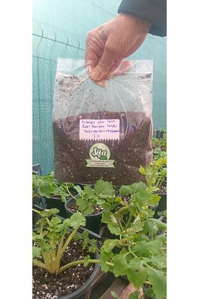 ذغال سنگ نارس و خاک ŞİFAGIDA - کد 887071973