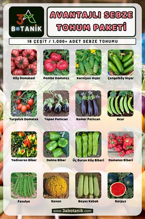 بذرها Sebze Tohumları 3A BOTANİK - کد 234526870