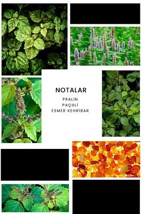 ادکلن مردانه Ixora - کد 106594248