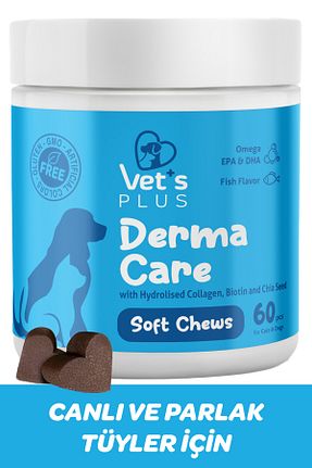  Vet