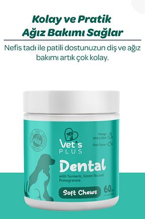  Vet