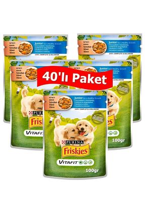  0 - 100 gr Friskies - کد 888694085