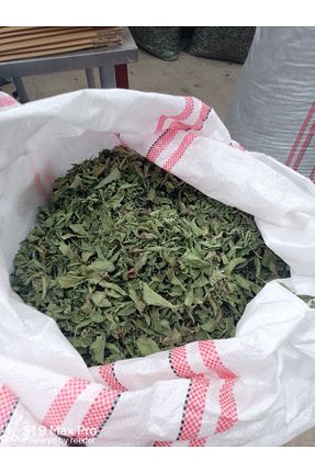 محصولات لذیذ و ارگانیک Stevia - کد 889627296