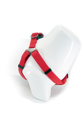 Günlük Ayakkabı قرمز Tailpetz - کد 868754514