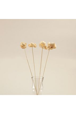 گل خشک و مصنوعی سفید Chakra - کد 782022050