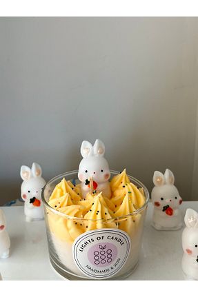 شمع نارنجی Mango Lights Of Candle - کد 889609953