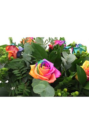 نهال میوه پیوندی Ucuzluk Diyarı - کد 888705042