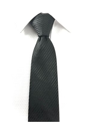 کراوات رنگی مردانه میکروفیبر PİERRONİ - کد 889065709