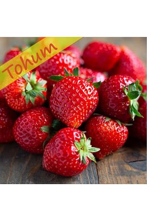 بذرها Sebze Tohumları AGRODAL TARIM - کد 321490115
