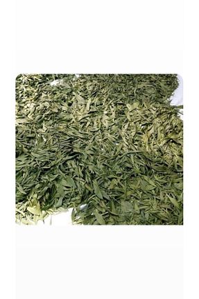 گیاهان معطر دارویی VIOLA TOHUM ve BAHARAT - کد 842019131