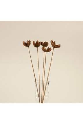گل خشک و مصنوعی سفید Chakra - کد 782022010