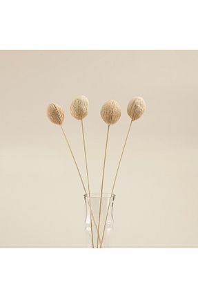 گل خشک و مصنوعی سفید Chakra - کد 782021743