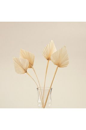 گل خشک و مصنوعی سفید Chakra - کد 782021761
