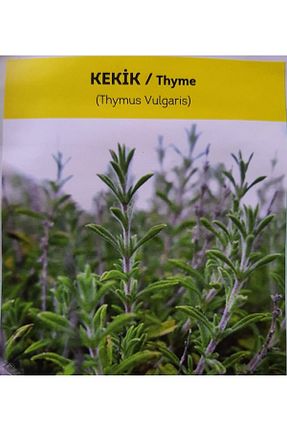 بذرها Sebze Tohumları AGRODAL TARIM - کد 321491981