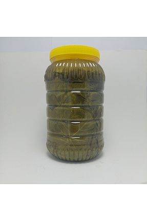 برگ درخت انگور Bio Boden - کد 891149869