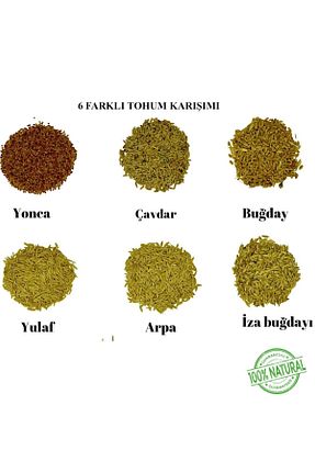  keddythestore - کد 871546877