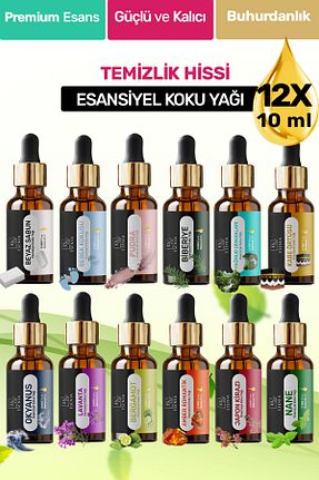  ESENIA - کد 893257867