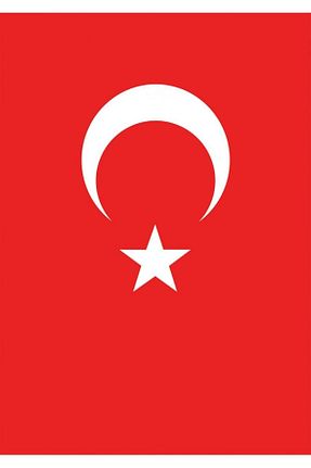سایر اکسسوری ها سفید زنانه Vatan Bayrak - کد 2582015