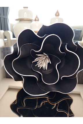 گل خشک و مصنوعی مشکی Çıtak - کد 892043425