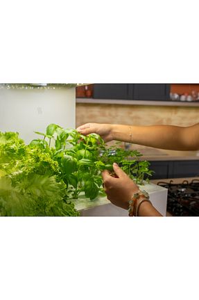 باغچه سرگرمی Ubicro - کد 890744615