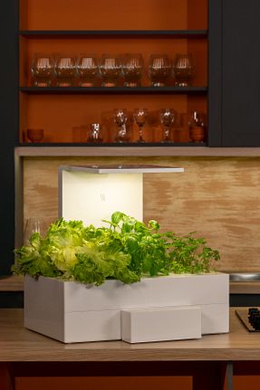 باغچه سرگرمی Ubicro - کد 890744615