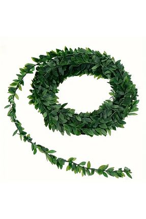  سبز OGWANTO - کد 890832908