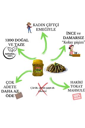 برگ درخت انگور HOSANLI - کد 866407668